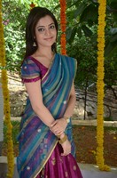 Nisha Agarwal Saree Photos